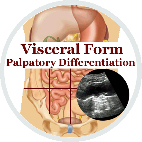 Image Visceral Form Ultrasound course