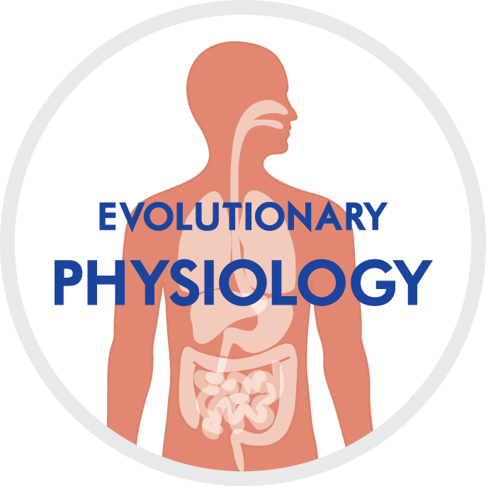Bild Evolutionäre Physiology