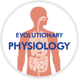 Evolutionaire fysiologie