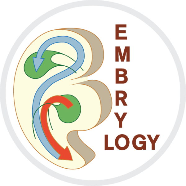 Embryologie