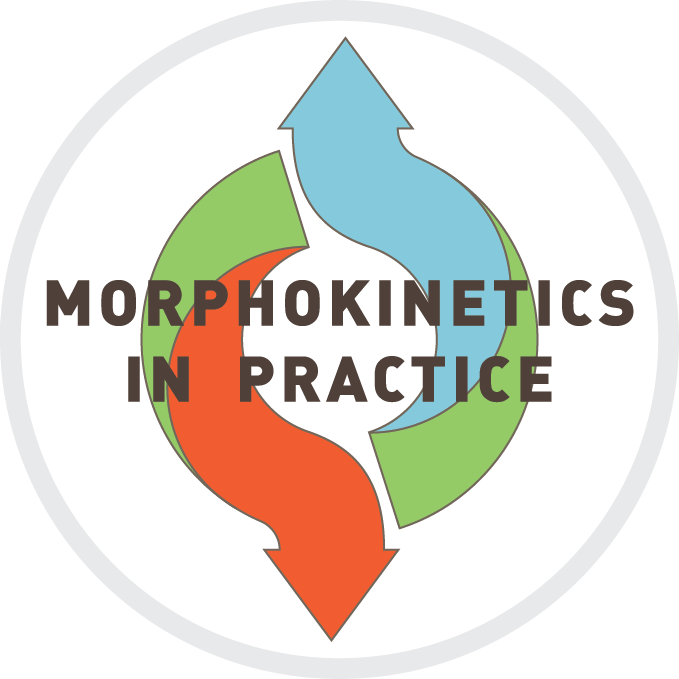 Image Morphokinetics in practice