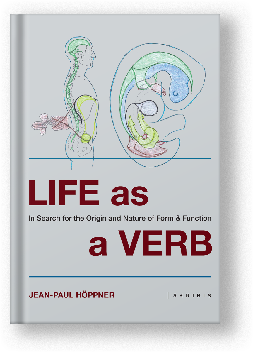 Livre 'Life as a verb'