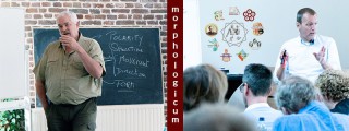 System and environment, a curse for science... and I don't even start on hierarchy and chronology morphologicum