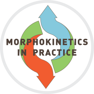 Morphokinesis in Praxis