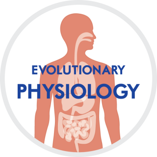 Evolutionäre Physiologie