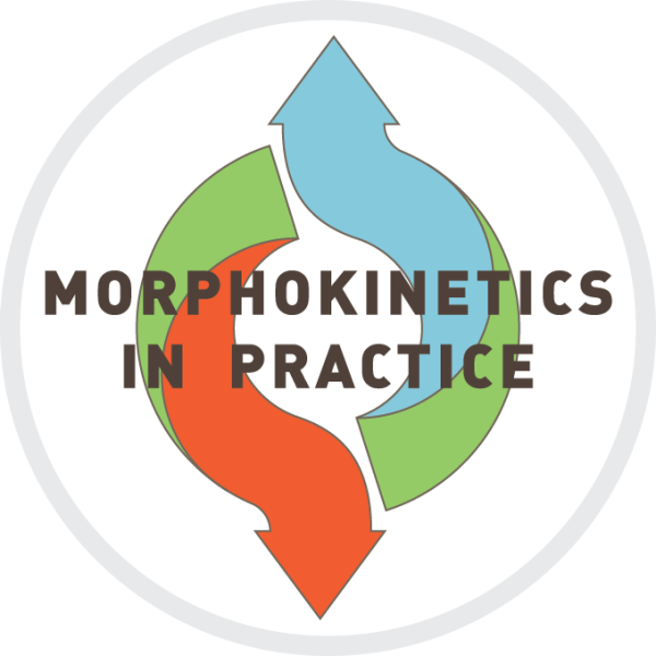 Morphocinétique en pratique
