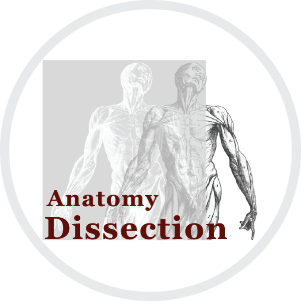 Anatomie Dissection main image