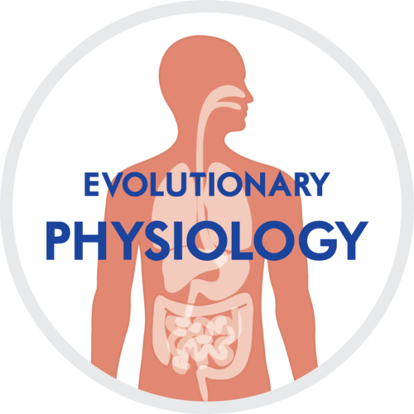 Evolutionäre Physiologie main image